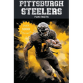 Pittsburgh Steelers Fun Facts - Paperback