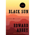 Black Sun - Paperback
