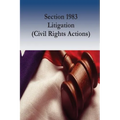 Section 1983 Litigation (Civil Rights Actions) - Paperback